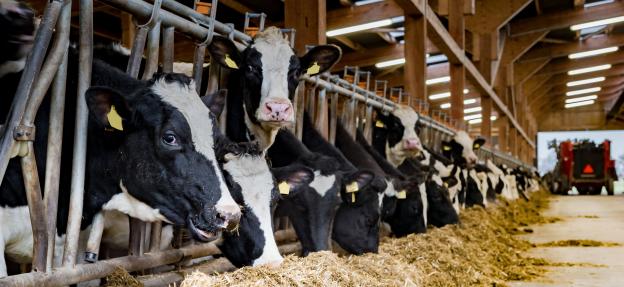 Hoe kies je de juiste LED stalverlichting?